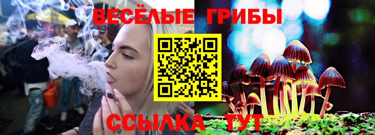 Псилоцибиновые грибы Magic Shrooms Новороссийск